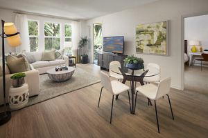 North Park In San Jose 1 3 Bedroom Studios