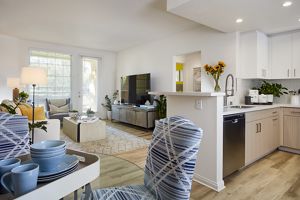 Apartment Photos & Videos North Park