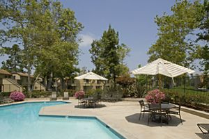 Apartment Photos & Videos Deerfield Apartments