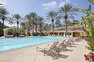 Las Palmas Apartments at Irvine 1 3 Bedroom & Studios