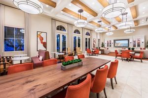 Apartment Photos & Videos - Los Olivos Apartments