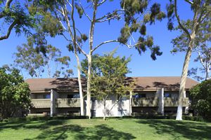 Apartment Photos & Videos Park West