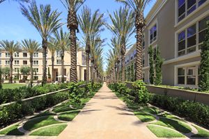 Apartment Photos & Videos Villas Fashion Island