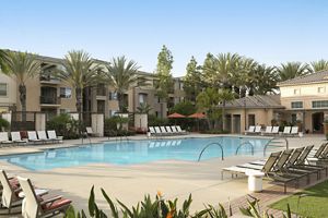 Apartment Photos & Videos Del Rio