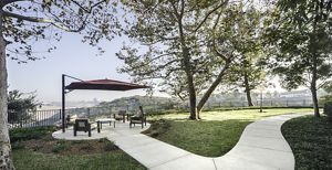 Apartment Photos & Videos Torrey Ridge