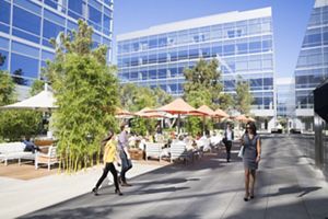 Contact Irvine Company Office Office Leasing Management